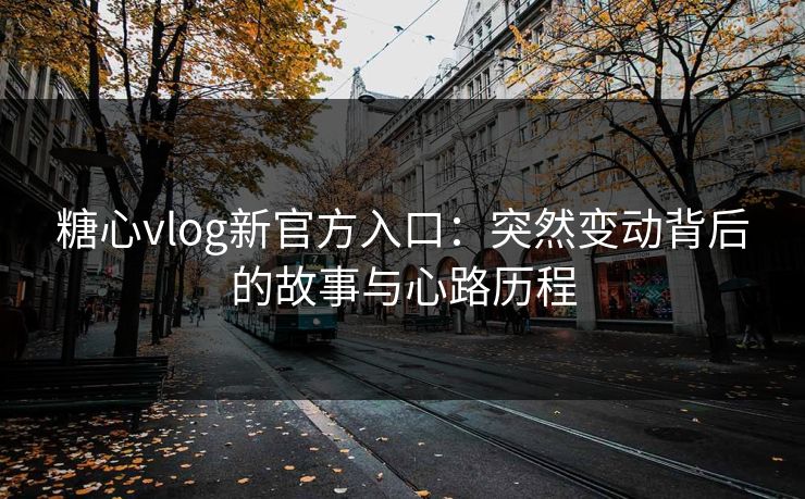 糖心vlog新官方入口：突然变动背后的故事与心路历程