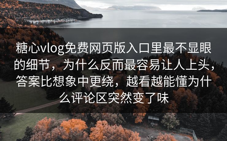 糖心vlog免费网页版入口里最不显眼的细节，为什么反而最容易让人上头，答案比想象中更绕，越看越能懂为什么评论区突然变了味