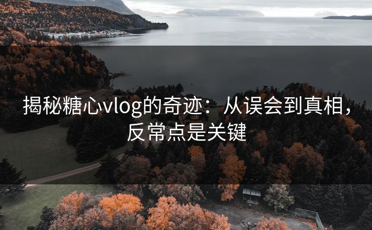 揭秘糖心vlog的奇迹：从误会到真相，反常点是关键