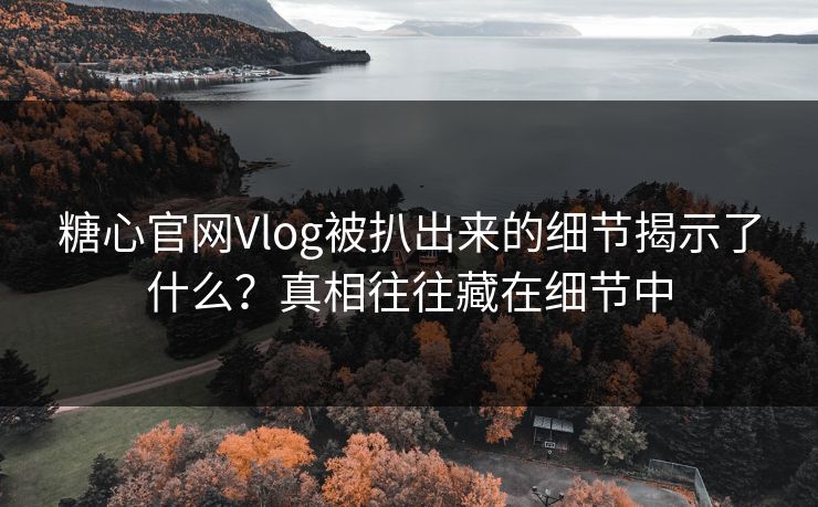 糖心官网Vlog被扒出来的细节揭示了什么？真相往往藏在细节中
