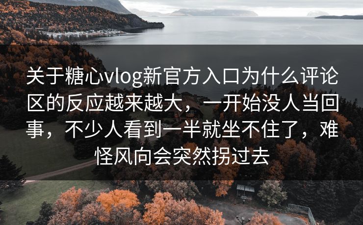 关于糖心vlog新官方入口为什么评论区的反应越来越大，一开始没人当回事，不少人看到一半就坐不住了，难怪风向会突然拐过去