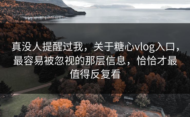 真没人提醒过我，关于糖心vlog入口，最容易被忽视的那层信息，恰恰才最值得反复看
