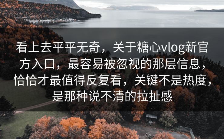 看上去平平无奇，关于糖心vlog新官方入口，最容易被忽视的那层信息，恰恰才最值得反复看，关键不是热度，是那种说不清的拉扯感