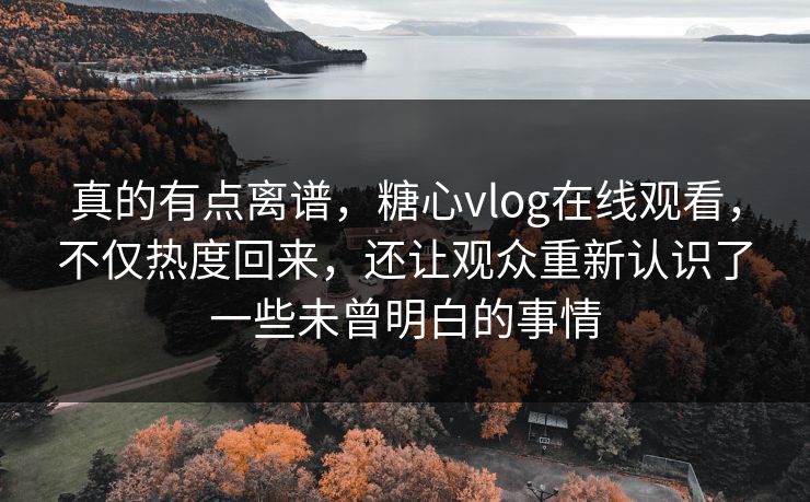 真的有点离谱，糖心vlog在线观看，不仅热度回来，还让观众重新认识了一些未曾明白的事情